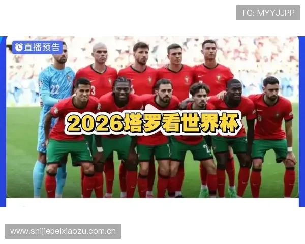 世界杯期间葡萄牙与乌兹别克斯坦球迷围巾的热销款式及购买攻略